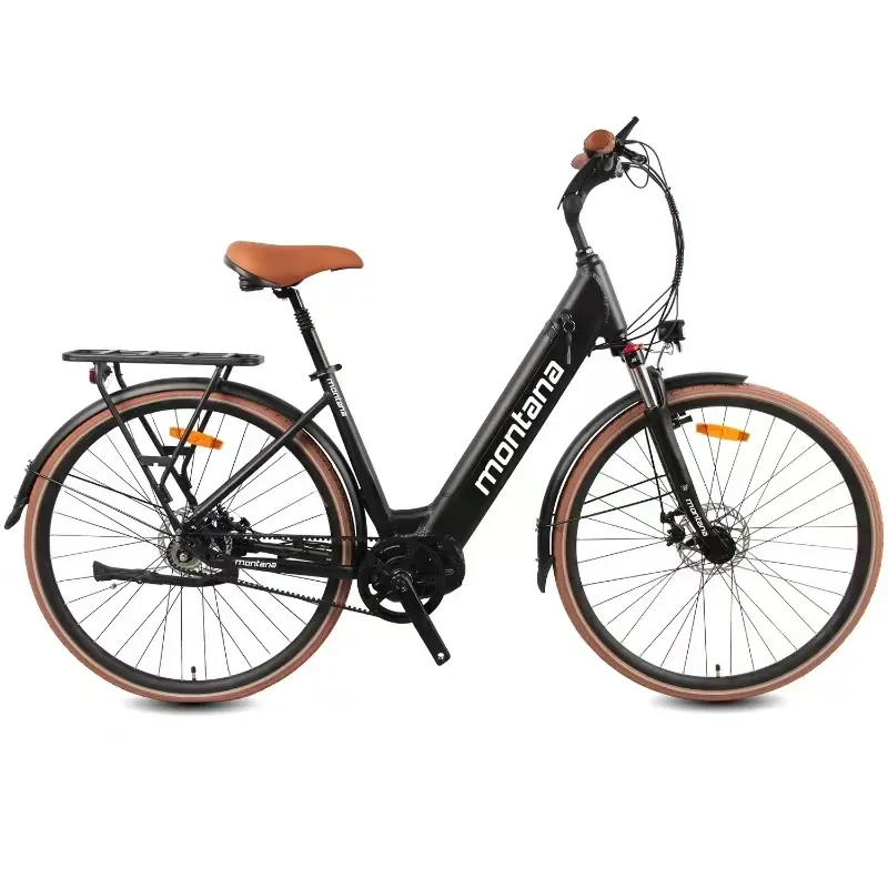 Ebike Store Maintenance Services Offered
