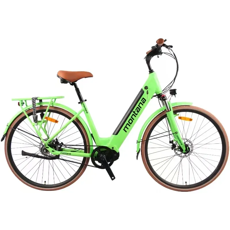 New National Standard Electric Bicycle 48V20AH  Men′s and Women′s Two Wheel Electric Bicycles Hot Sale