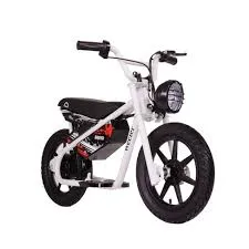 electric and petrol bike