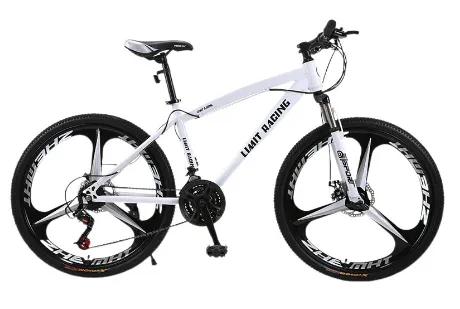 The Ultimate Mountain Bike Project: Elevate Your Ride!