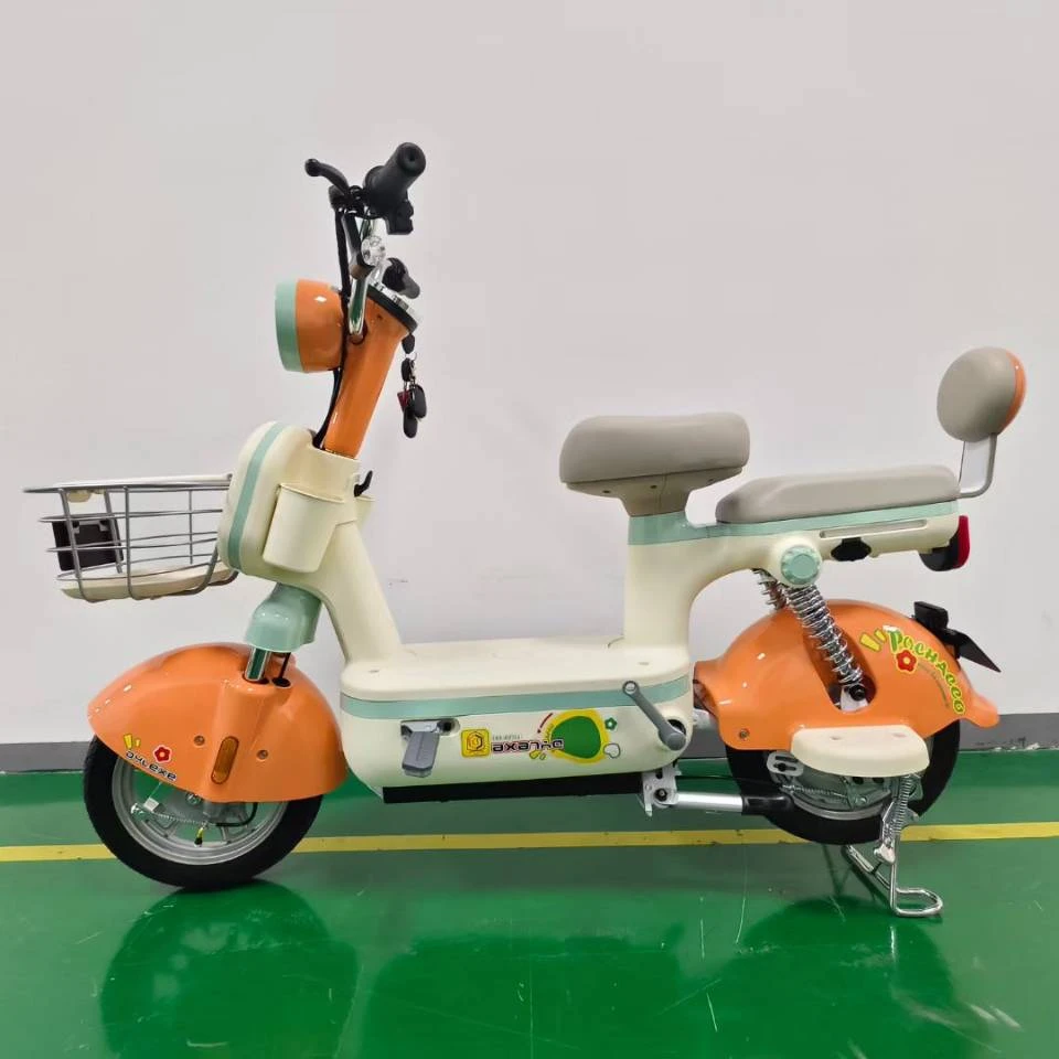 The Future of Cycling with Electric Bikes