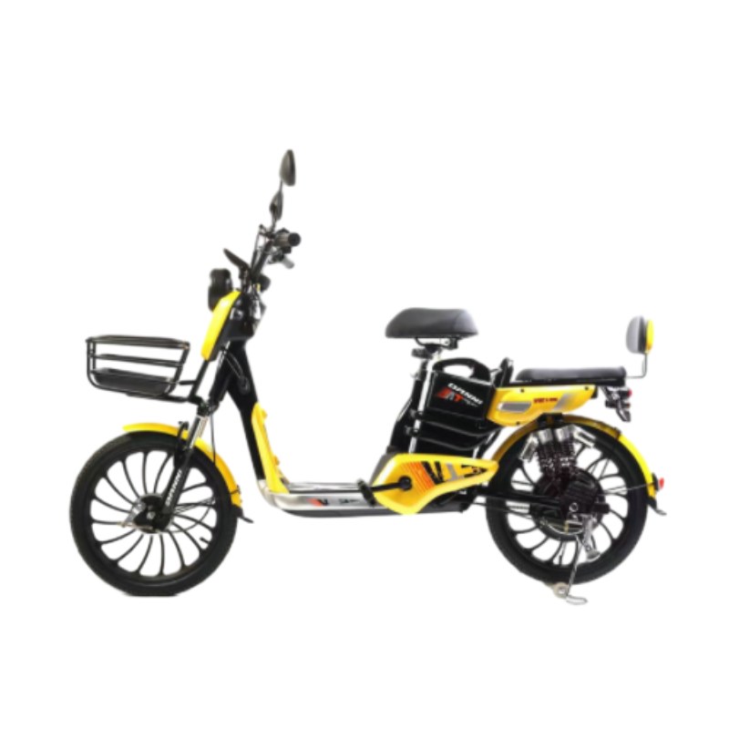 20 inch Electric Bikes for Adults - Compact, Powerful & Fun Rides!