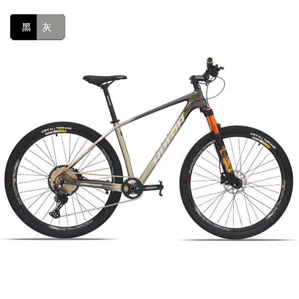 affordable electric bike