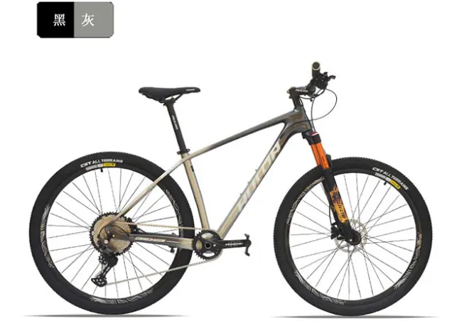 ebike for heavy riders