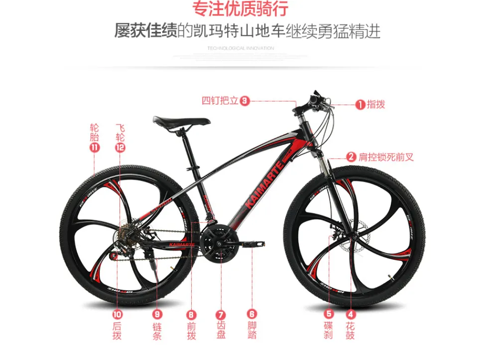 New National Standard Electric Bicycle 48V20AH  Men′s and Women′s Two Wheel Electric Bicycles Hot Sale