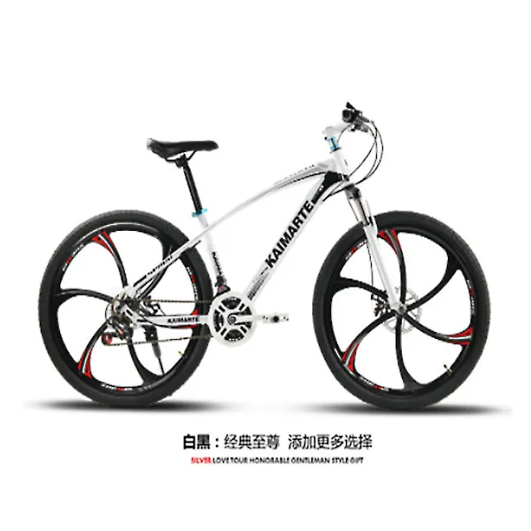 mid drive electric bike