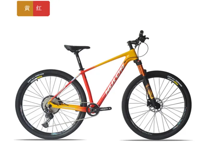 29 inch electric bike