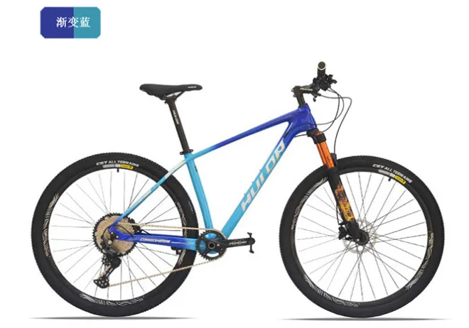 29 inch electric bike