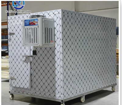 Reliable Cold Storage Rooms for Sale and Modern Industrial Refrigeration Solutions
