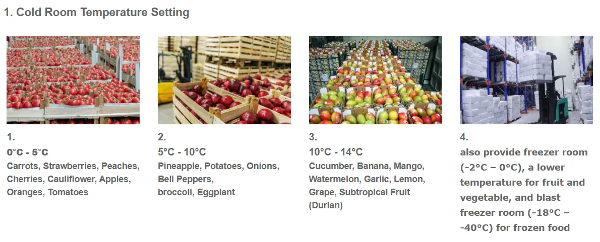 Cold Storage for Fruits and Vegetables Air Circulation Optimization