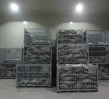 Quality Refrigeration Condensing Units for Sale