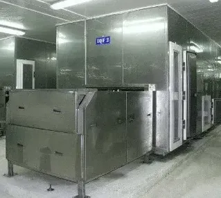 From Farm to Freezer: IQF Preservation