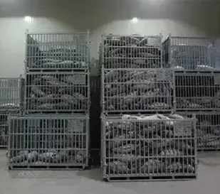 Portable Small Cold Room for Sale