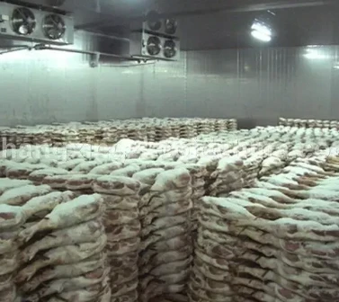 Top Manufacturers of Blast Freezer Units for Efficient Food Preservation