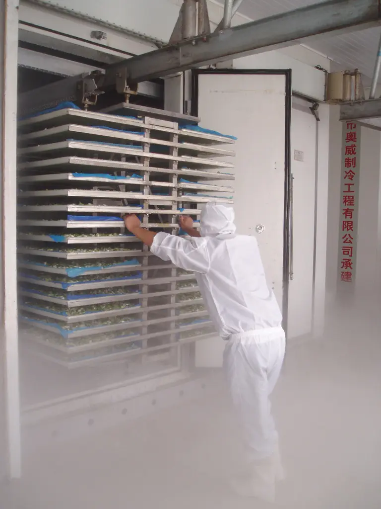 Вытворцы направляючых для разсоўных дзвярэй халадзільных памяшканняў