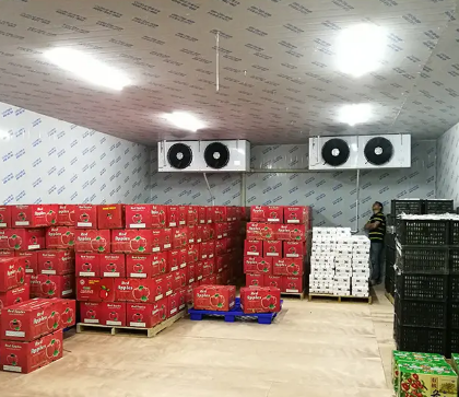 blast chiller for cakes