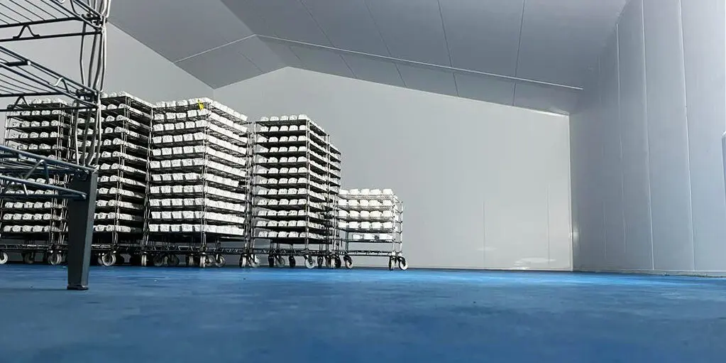 Efficient Water Chiller Cooling Systems for Industrial Applications and Advanced Factory Solutions Efficient Water Chiller Cooling Systems for Industrial Applications and Advanced Factory Solutions