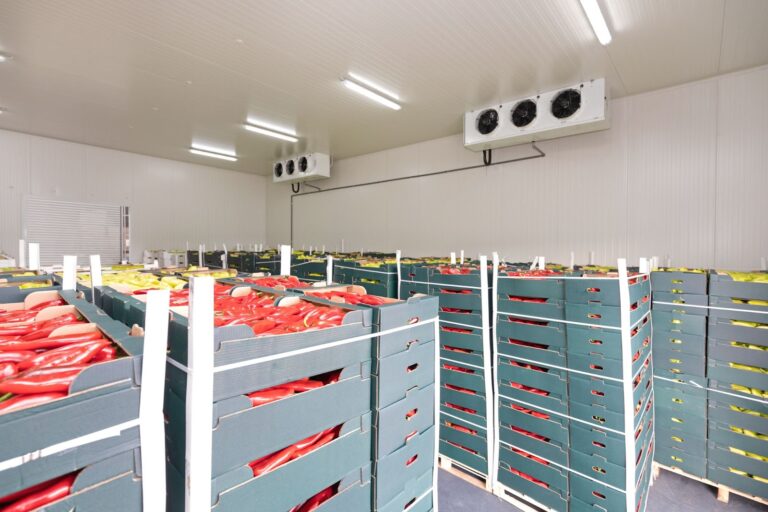 Effective Solutions for High-Performance Cold Room Insulation Systems