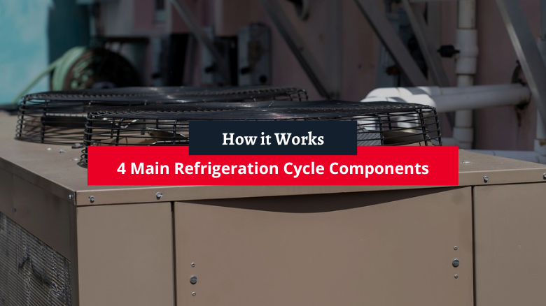 Suppliers of Cold Room Panel Dimensions and Specifications for Your Business Needs