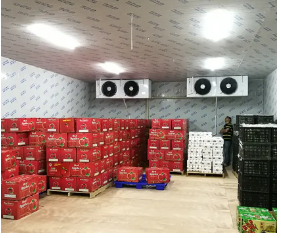 Supplier of Variable Speed Screw Chillers for Energy Efficiency and Optimal Cooling Solutions