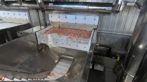 Wholesale OEM Flake Ice Machines Available for Purchase with Competitive Pricing and Quality