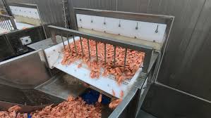 Unlock the Benefits of IQF Technology for Your Food Company iqf freezer