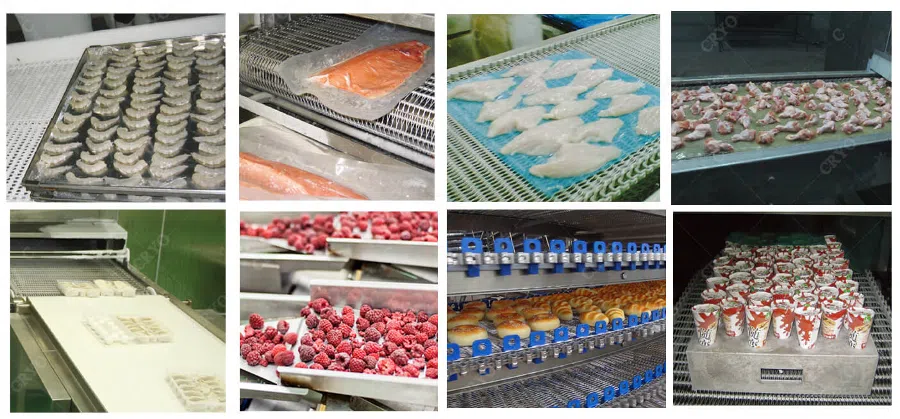 What are the differences between IQF and Cold Store freezing? iqf freezer