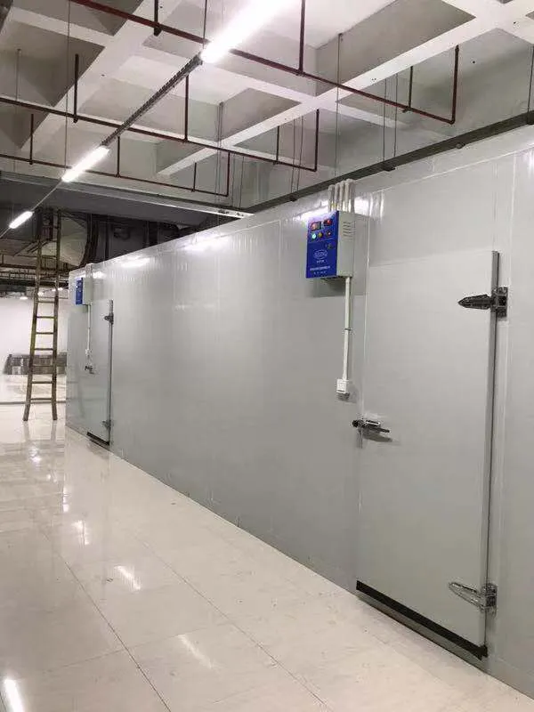 Paneles sándwich de alta calidad para una construcción eficiente y duradera