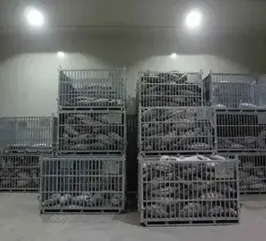 Affordable Water Chillers