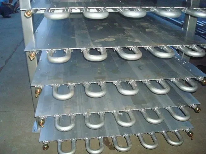Benefits of IQF Machines for Seafood Processing