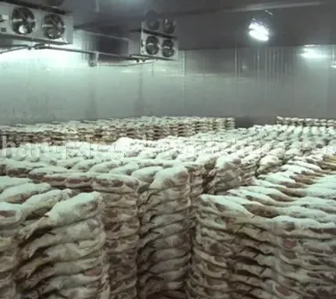 Why a Blast Freezer is Essential for Your Business Needs