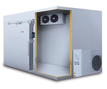 Cold Room for Vegetables - Efficient Storage for Fresh Produce