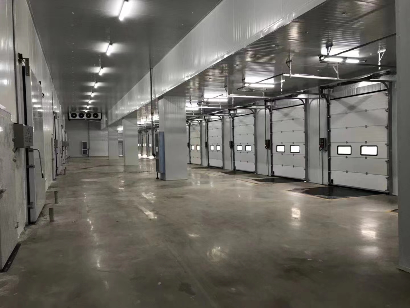 Cold Room Door Customization