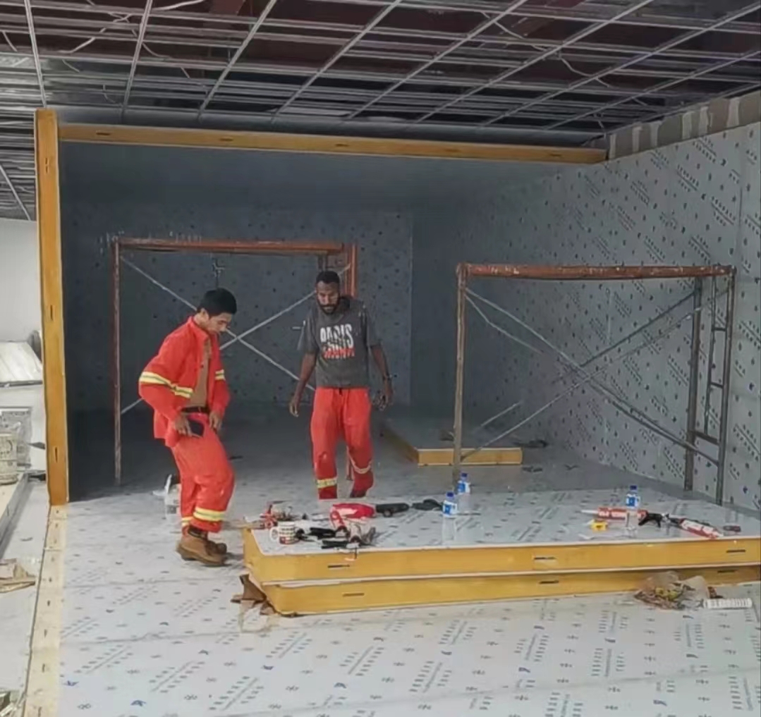 Innovative Solutions for Designing Custom Cold Storage Rooms for Home Use and Commercial Needs