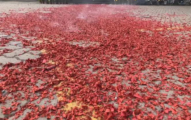 Condensing Unit&Refrigeration System