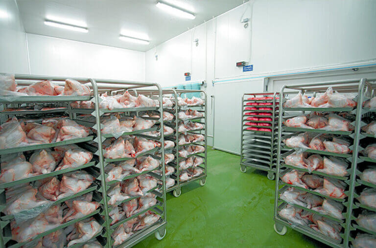 Industrial Frigo Chiller Manual for Efficient Operation and Maintenance by Leading Manufacturers