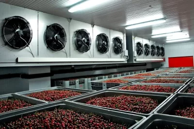 blast freezer specifications supplier