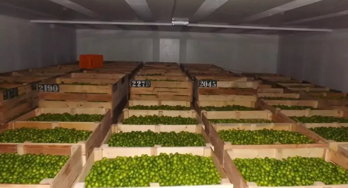 Top Manufacturers of Marine Water Boxes for Efficient Chiller Systems in the Industry