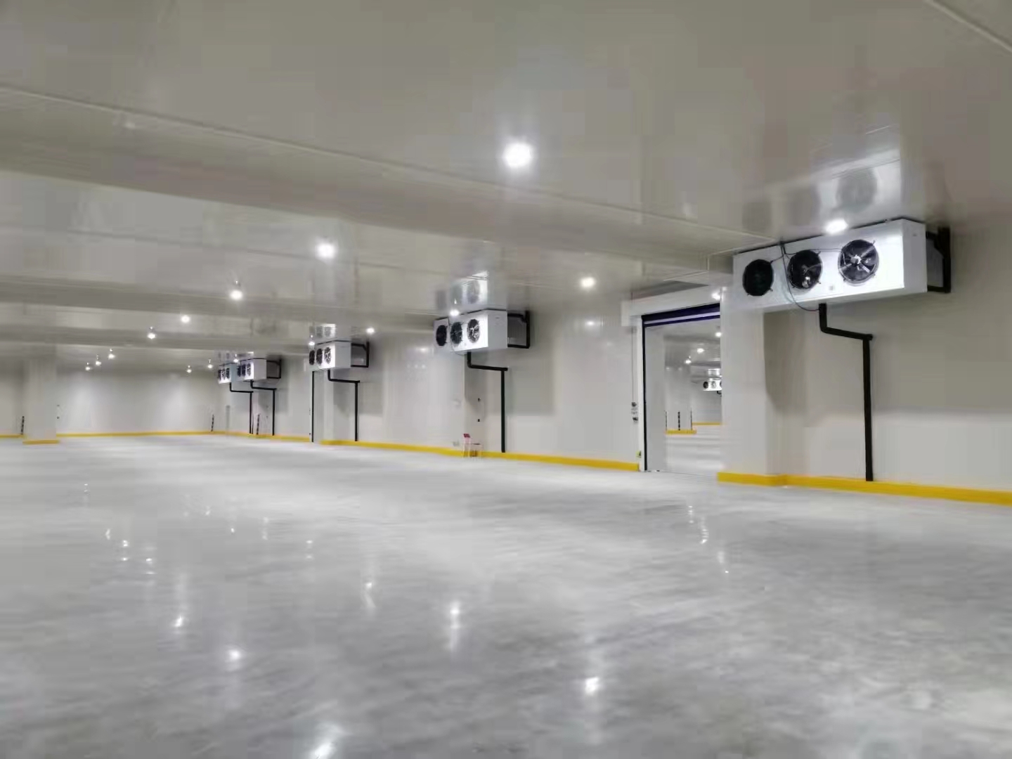 Top Efficiency Roof-Mounted Condensing Units for Optimal Performance and Reliability