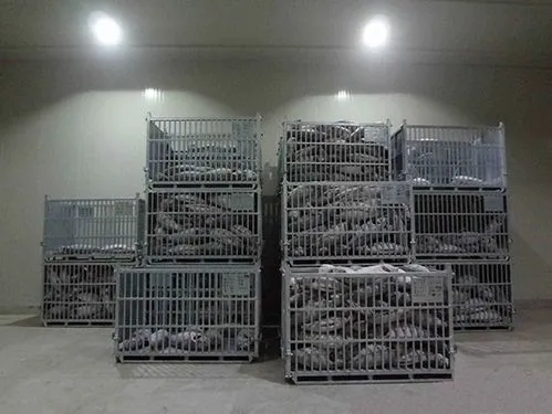 china ice cold therapy machine