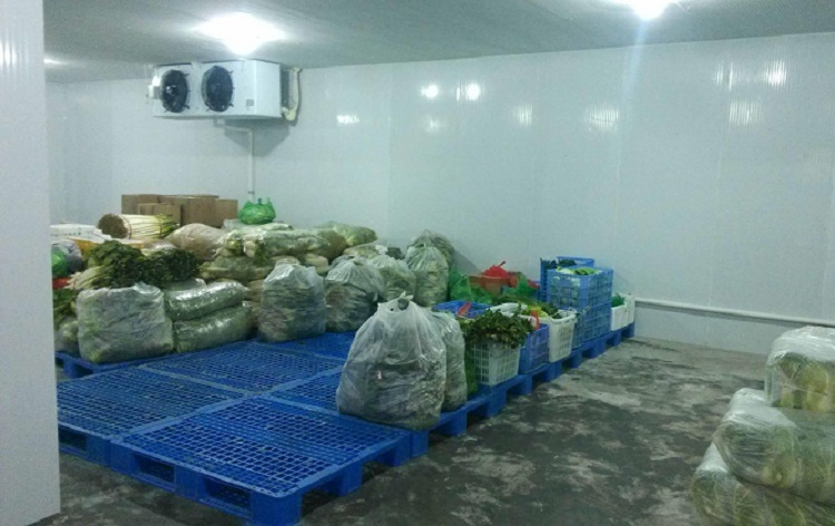 OEM Solutions for Innovative Refrigeration Equipment Manufacturers and Enterprises