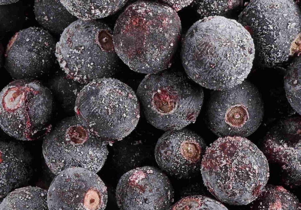 Suppliers of Cold Storage Containers for Meat Preservation and Freshness