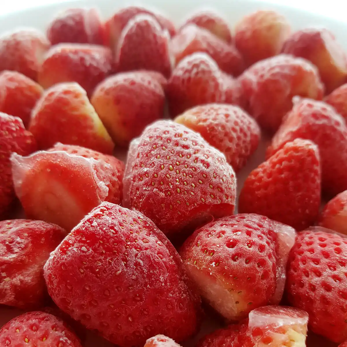 Competitive Pricing for Blast Freezer Manufacturing Solutions