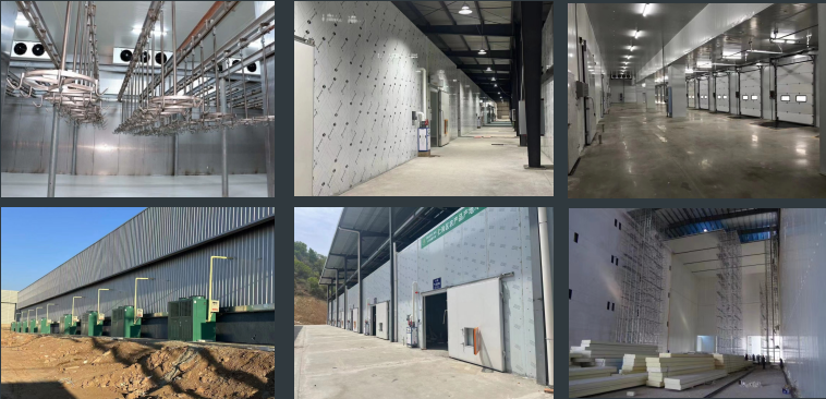Wipeout Cold Storage Facilities and Their Impact on Supply Chain Efficiency Wipeout Cold Storage Facilities and Their Impact on Supply Chain Efficiency