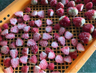 Suppliers of Electro Freeze Ice Cream Machines for Quality Frozen Treats