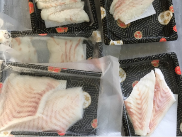 commercial walk in freezer