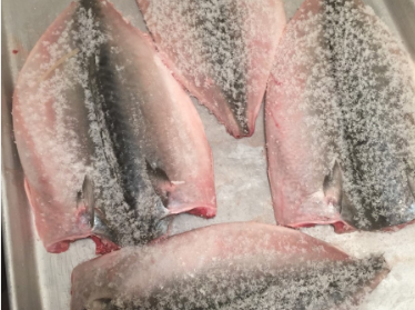 high quality vacuum cooler for vegetables