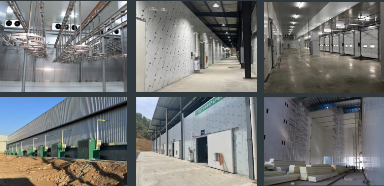 cold storage room cost factories