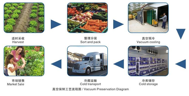 chiller company chiller company
