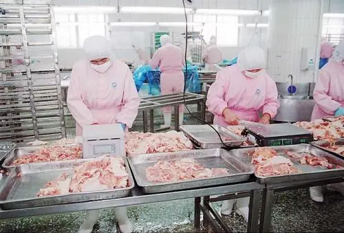 china cold room insulation